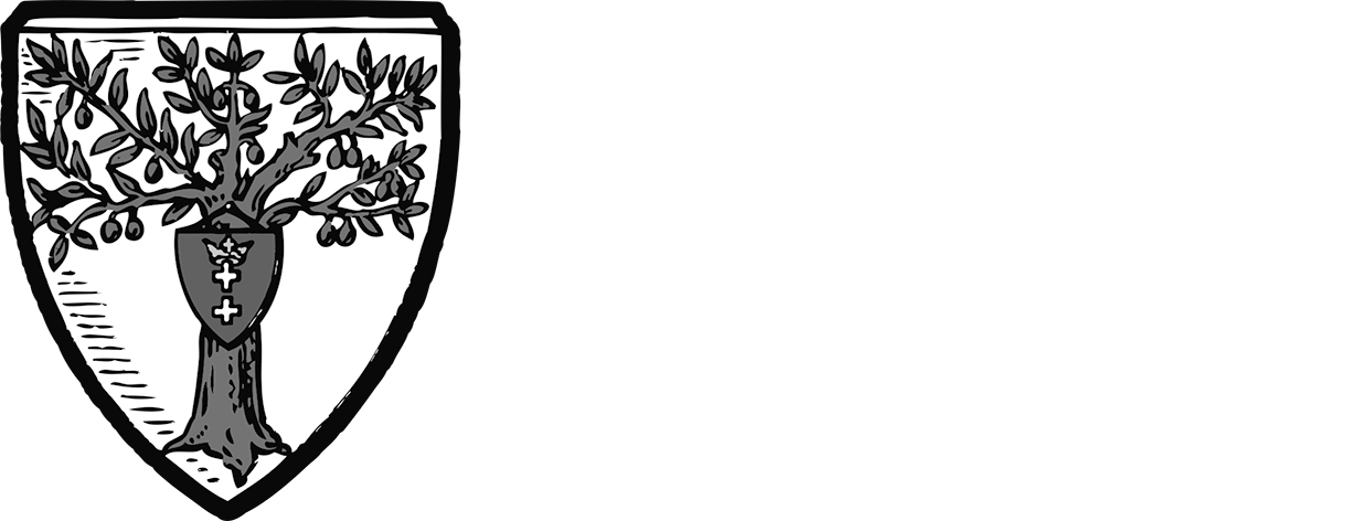 Stara oliwa